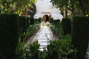 chorricos del parque de Elche