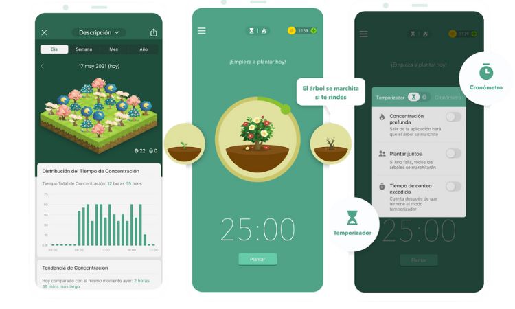 forest app 