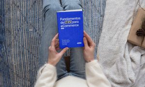 fundamentos de SEO para ecommerce vol 1