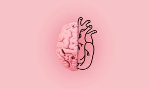 Cerebro y corazón fusionados, mitad cerebro real y mitad corazón dibujado, sobre fondo rosa. Concepto de equilibrio entre emoción y razón.