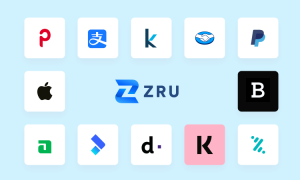 Logotipos de diversas plataformas de pago y marcas tecnológicas visibles sobre un fondo celeste; destacan ZRU en el centro. Optimización digital.